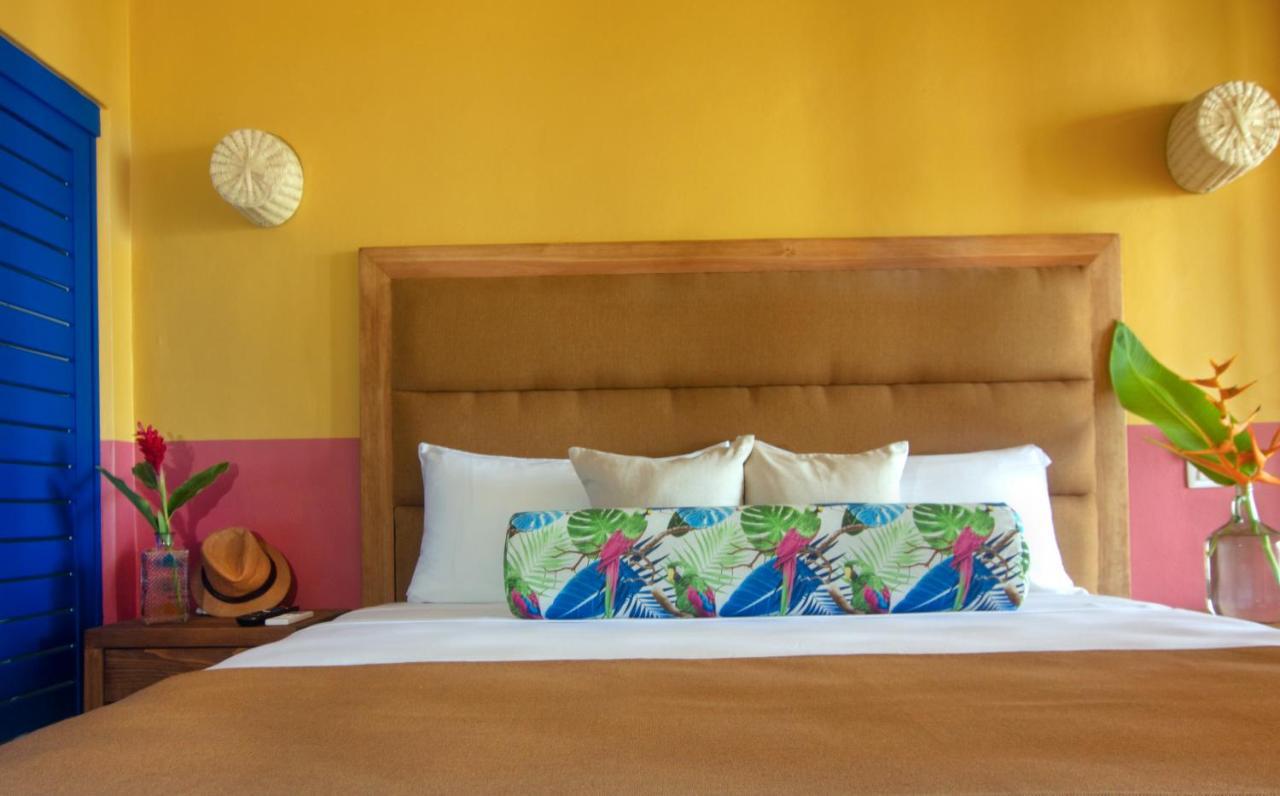 Hotel Albatros By Bedsfriends (Adults Only) Cozumel Exteriér fotografie